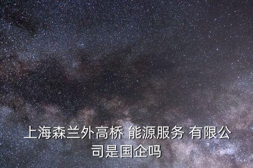  上海森蘭外高橋 能源服務(wù) 有限公司是國(guó)企嗎