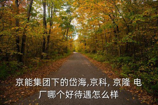 京能集團(tuán)下的岱海,京科, 京隆 電廠哪個(gè)好待遇怎么樣