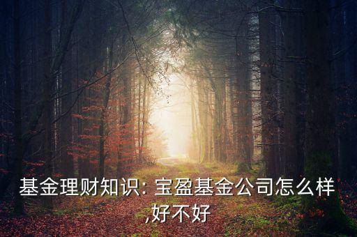 基金理財知識: 寶盈基金公司怎么樣,好不好