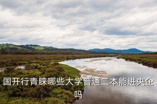 國家開發(fā)銀行怎么進