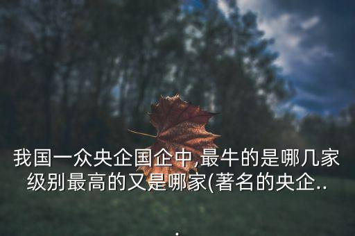 我國(guó)一眾央企國(guó)企中,最牛的是哪幾家級(jí)別最高的又是哪家(著名的央企...