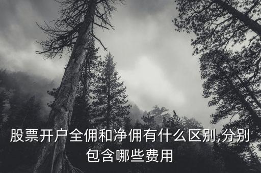 股票開(kāi)戶(hù)全傭和凈傭有什么區(qū)別,分別包含哪些費(fèi)用