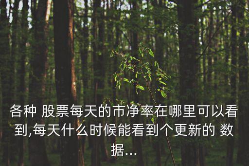 各種 股票每天的市凈率在哪里可以看到,每天什么時(shí)候能看到個(gè)更新的 數(shù)據(jù)...