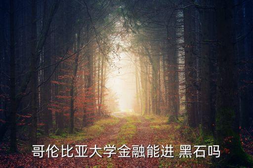 哥倫比亞大學金融能進 黑石嗎