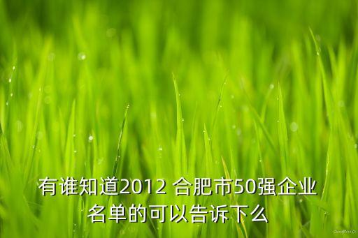 有誰知道2012 合肥市50強(qiáng)企業(yè)名單的可以告訴下么