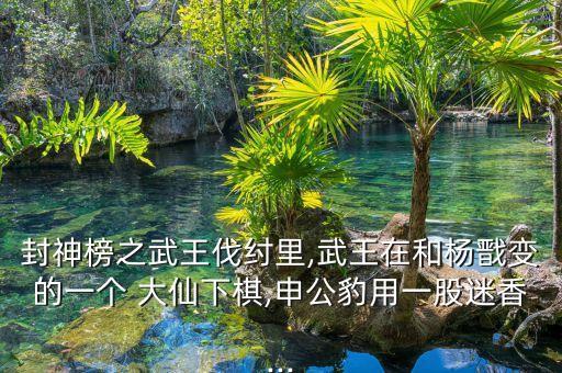封神榜之武王伐紂里,武王在和楊戩變的一個 大仙下棋,申公豹用一股迷香...