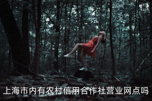 上海市內(nèi)有農(nóng)村信用合作社營(yíng)業(yè)網(wǎng)點(diǎn)嗎
