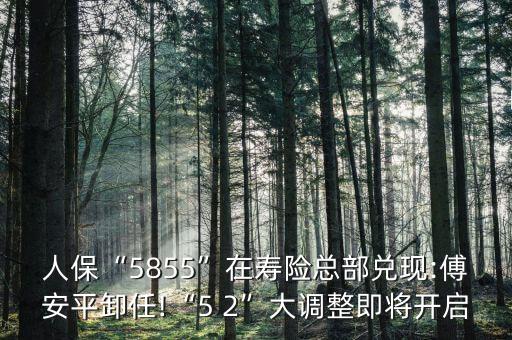 人?！?855”在壽險總部兌現(xiàn):傅安平卸任!“5 2”大調整即將開啟