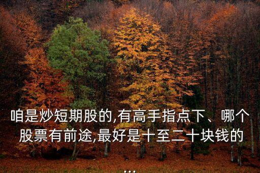 咱是炒短期股的,有高手指點(diǎn)下、哪個(gè) 股票有前途,最好是十至二十塊錢的...