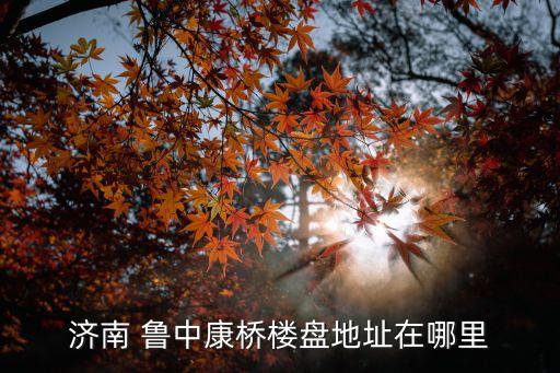 濟(jì)南 魯中康橋樓盤(pán)地址在哪里
