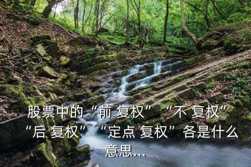  股票中的“前 復(fù)權(quán)”“不 復(fù)權(quán)”“后 復(fù)權(quán)”“定點(diǎn) 復(fù)權(quán)”各是什么意思...