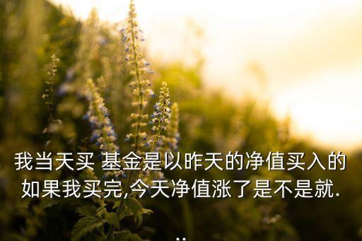 我當天買 基金是以昨天的凈值買入的如果我買完,今天凈值漲了是不是就...