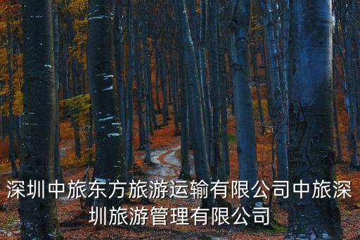 深圳中旅東方旅游運(yùn)輸有限公司中旅深圳旅游管理有限公司