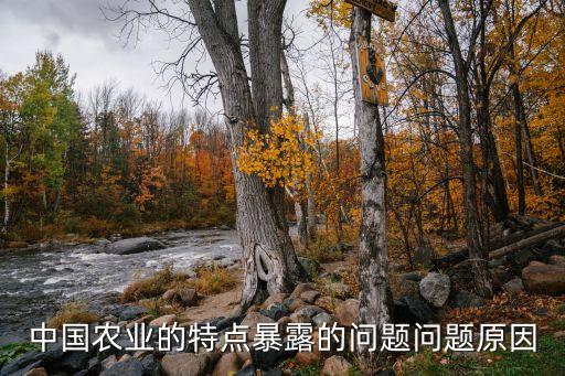 中國(guó)農(nóng)業(yè)的特點(diǎn)暴露的問(wèn)題問(wèn)題原因