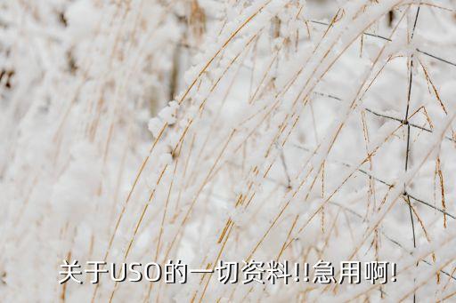 與波羅的?；鹩嘘P
