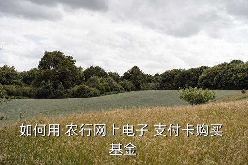 如何用 農(nóng)行網(wǎng)上電子 支付卡購買 基金