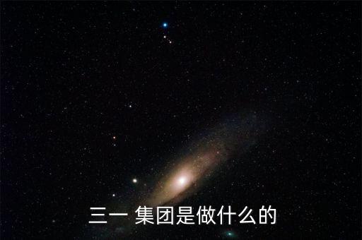  三一 集團(tuán)是做什么的