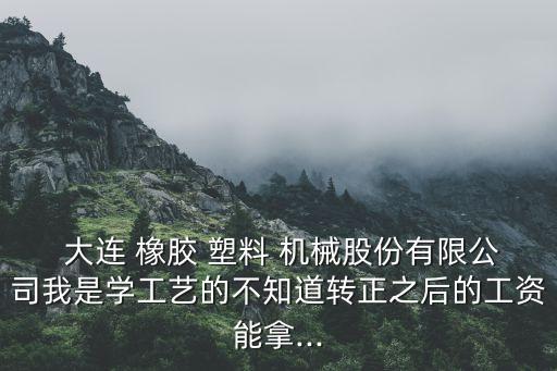 大連橡膠塑料機械股份有限公司2013