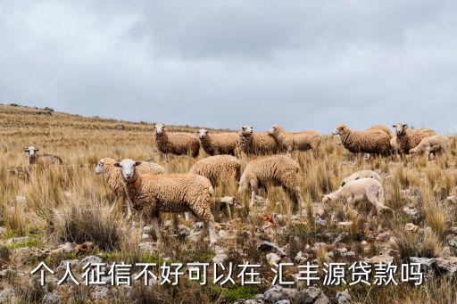 個(gè)人征信不好可以在 匯豐源貸款嗎