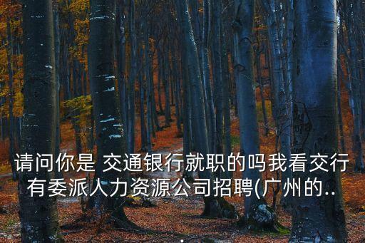 請問你是 交通銀行就職的嗎我看交行有委派人力資源公司招聘(廣州的...
