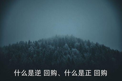什么是逆 回購、什么是正 回購