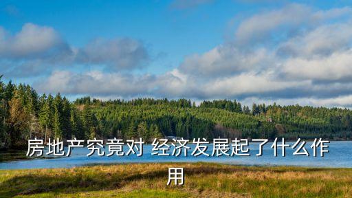  房地產究竟對 經濟發(fā)展起了什么作用