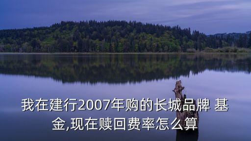 品牌基金,pp基金2023年什么時(shí)候能清退