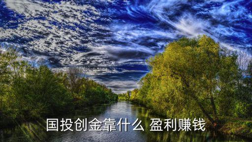 國(guó)投創(chuàng)金靠什么 盈利賺錢