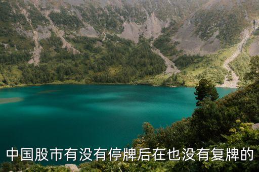 中國(guó)股市有沒有停牌后在也沒有復(fù)牌的