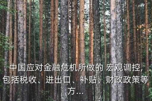 中國(guó)應(yīng)對(duì)金融危機(jī)所做的 宏觀調(diào)控,包括稅收、進(jìn)出口、補(bǔ)貼、財(cái)政政策等方...