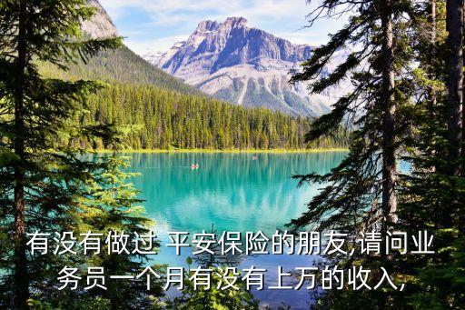 有沒(méi)有做過(guò) 平安保險(xiǎn)的朋友,請(qǐng)問(wèn)業(yè)務(wù)員一個(gè)月有沒(méi)有上萬(wàn)的收入,