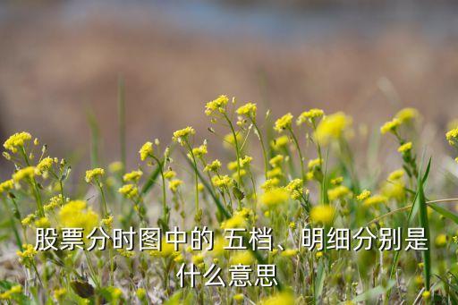 股票五檔是什么,股票右邊的五檔和明細(xì)是什么意思