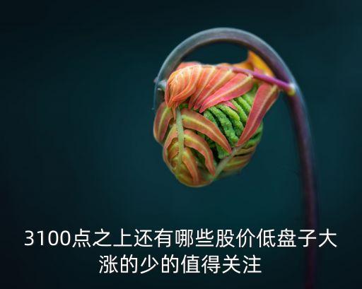 3100點(diǎn)之上還有哪些股價(jià)低盤子大漲的少的值得關(guān)注