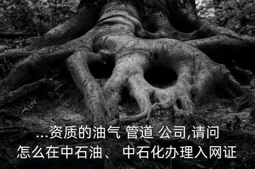 ...資質(zhì)的油氣 管道 公司,請問怎么在中石油、 中石化辦理入網(wǎng)證
