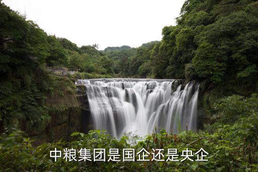 中糧集團(tuán)是國企還是央企