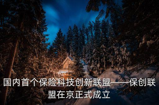 國(guó)內(nèi)首個(gè)保險(xiǎn)科技創(chuàng)新聯(lián)盟——保創(chuàng)聯(lián)盟在京正式成立