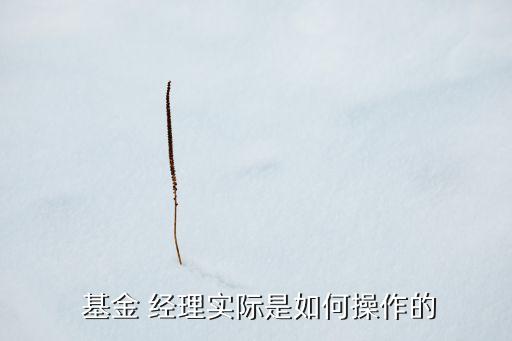  基金 經(jīng)理實際是如何操作的