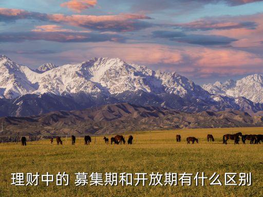 理財(cái)中的 募集期和開放期有什么區(qū)別
