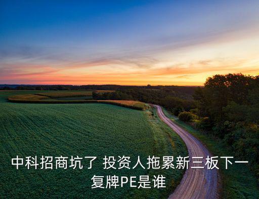 天晟投資擔保,投資的擔保有法律效果嗎