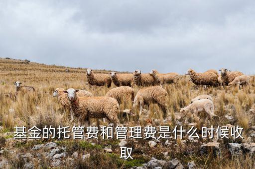  基金的托管費和管理費是什么時候收取
