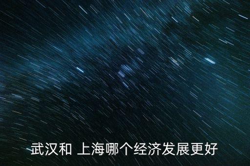 武漢和 上海哪個經(jīng)濟(jì)發(fā)展更好