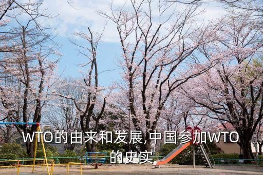 WTO的由來和發(fā)展,中國參加WTO的史實(shí)