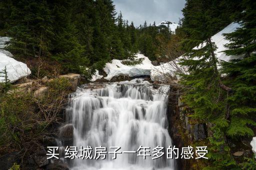 買(mǎi) 綠城房子一年多的感受