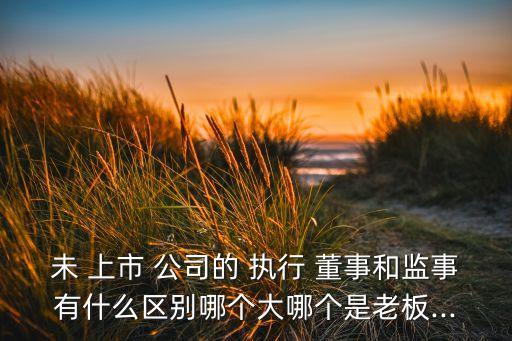 未 上市 公司的 執(zhí)行 董事和監(jiān)事有什么區(qū)別哪個(gè)大哪個(gè)是老板...