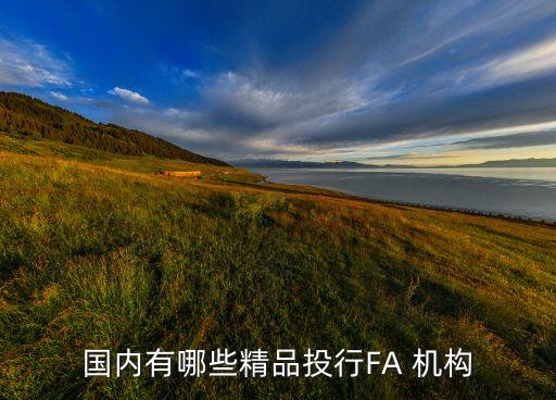 國(guó)內(nèi)有哪些精品投行FA 機(jī)構(gòu)