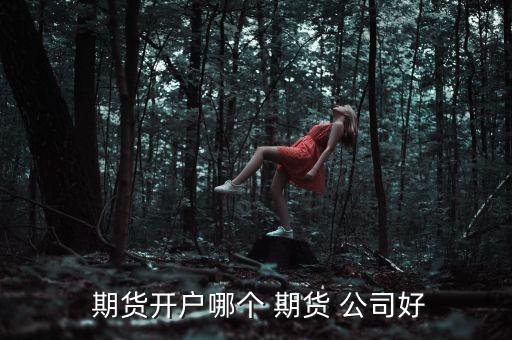  期貨開(kāi)戶(hù)哪個(gè) 期貨 公司好