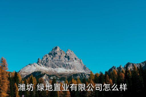 綠地集團(tuán)金成發(fā),綠地金成發(fā)簡歷