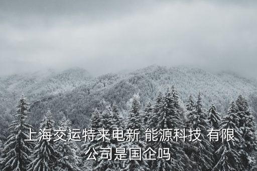  上海交運(yùn)特來(lái)電新 能源科技 有限公司是國(guó)企嗎