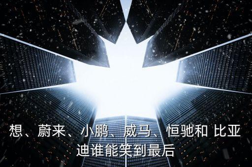想、蔚來(lái)、小鵬、威馬、恒馳和 比亞迪誰(shuí)能笑到最后