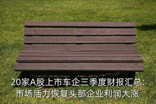 20家A股上市車(chē)企三季度財(cái)報(bào)匯總:市場(chǎng)活力恢復(fù)頭部企業(yè)利潤(rùn)大漲